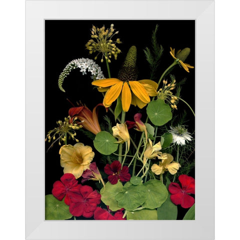 Flower Drama VII White Modern Wood Framed Art Print by Stalus, Judy