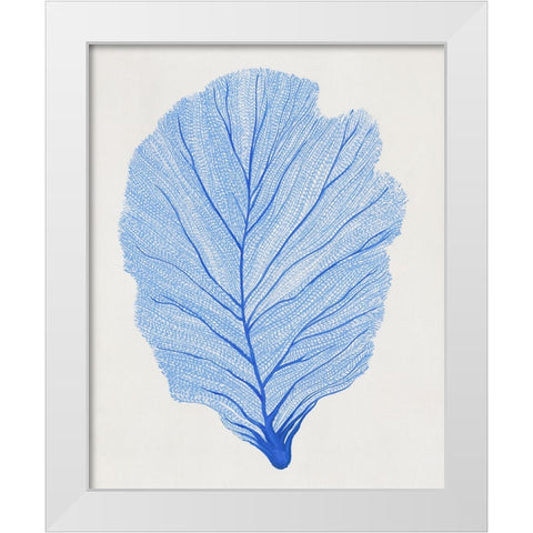 Indigo Sea Fan II White Modern Wood Framed Art Print by OToole, Tim