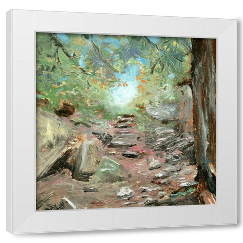 Trail in Woods White Modern Wood Framed Art Print by Iafrate, Sandra