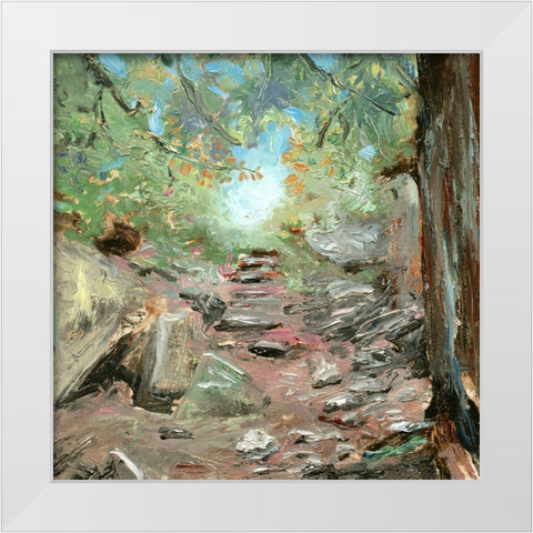 Trail in Woods White Modern Wood Framed Art Print by Iafrate, Sandra