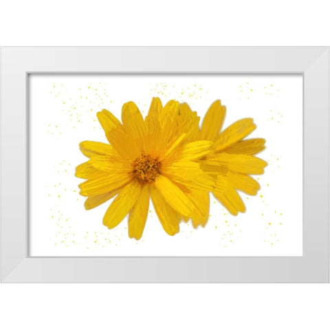 Yellow Asters White Modern Wood Framed Art Print by Pica, Jeff