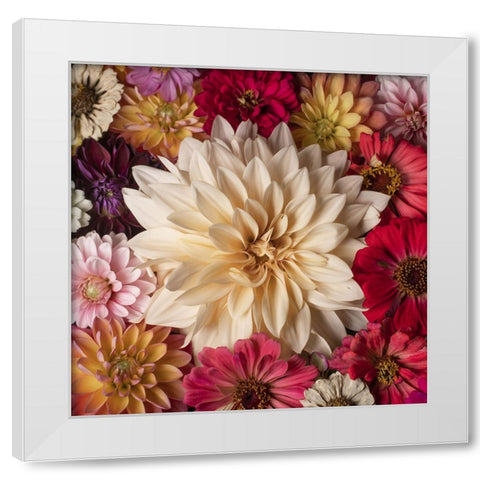 Dahlia Dream Scape  II White Modern Wood Framed Art Print by McLean, Leah