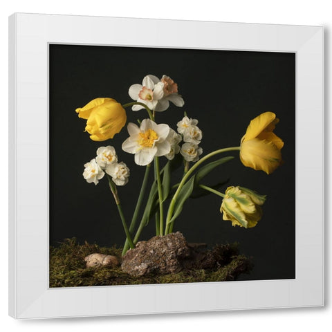 Sunny Spring Bounty  I White Modern Wood Framed Art Print by McLean, Leah