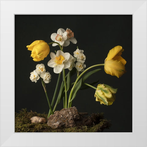 Sunny Spring Bounty  I White Modern Wood Framed Art Print by McLean, Leah