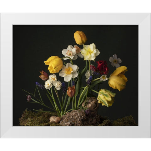 Sunny Spring Bounty  III White Modern Wood Framed Art Print by McLean, Leah