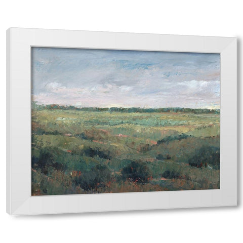 Field Study II White Modern Wood Framed Art Print by OToole, Tim