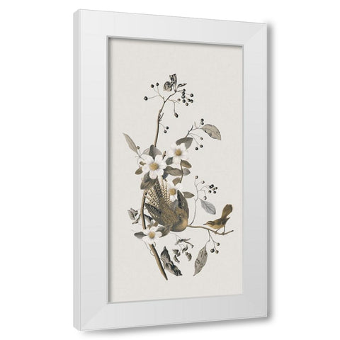 Nostalgic Birds IV White Modern Wood Framed Art Print by Haase, Andrea