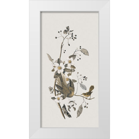 Nostalgic Birds IV White Modern Wood Framed Art Print by Haase, Andrea