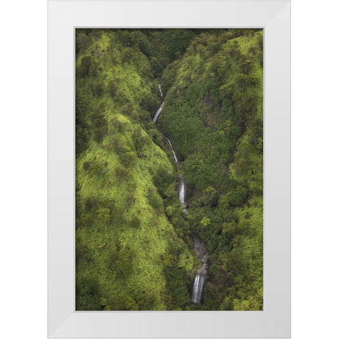 Ribbon Streams I White Modern Wood Framed Art Print by Head, Danny