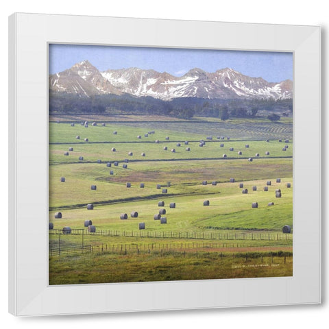 Cherry Creek Haybales White Modern Wood Framed Art Print by Vest, Chris