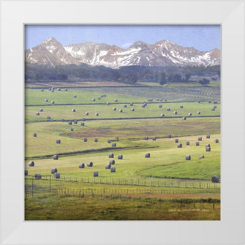 Cherry Creek Haybales White Modern Wood Framed Art Print by Vest, Chris