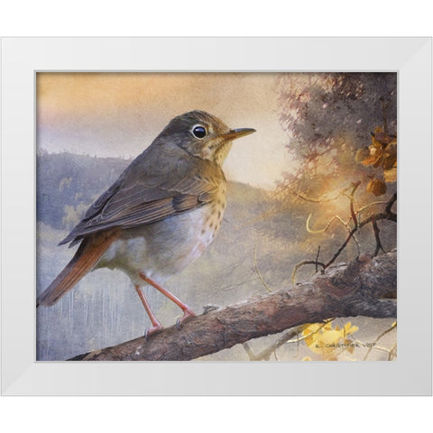 Hermit Thrush Hillside Drive White Modern Wood Framed Art Print by Vest, Chris