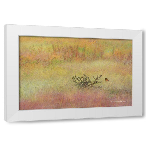 Koshia in Muhly Grass White Modern Wood Framed Art Print by Vest, Chris