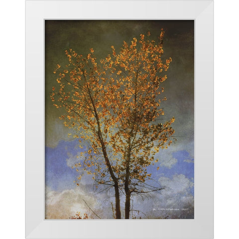 Lone Cottonwood Tree White Modern Wood Framed Art Print by Vest, Chris