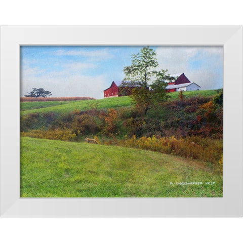 Ohio Barn with Red Fox White Modern Wood Framed Art Print by Vest, Chris