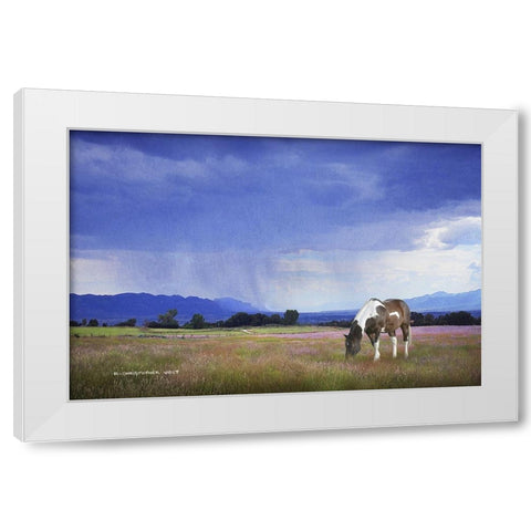 Paint Horse in Bliss White Modern Wood Framed Art Print by Vest, Chris