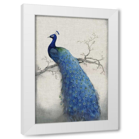 Peacock Blue II White Modern Wood Framed Art Print by OToole, Tim