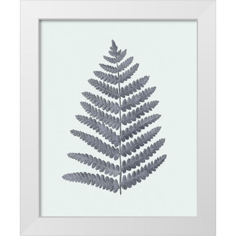 Antique Silver Ferns II White Modern Wood Framed Art Print by Vision Studio