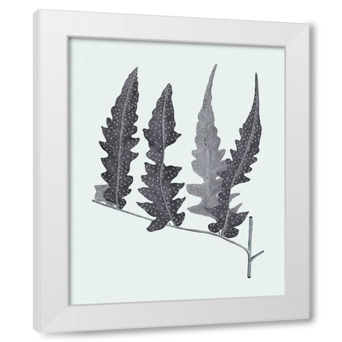 Antique Silver Ferns III White Modern Wood Framed Art Print by Vision Studio