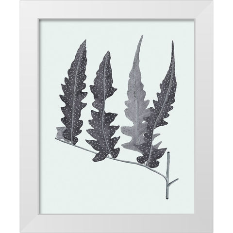 Antique Silver Ferns III White Modern Wood Framed Art Print by Vision Studio