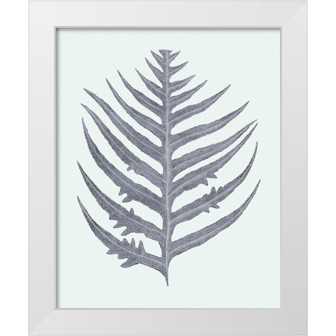 Antique Silver Ferns IV White Modern Wood Framed Art Print by Vision Studio