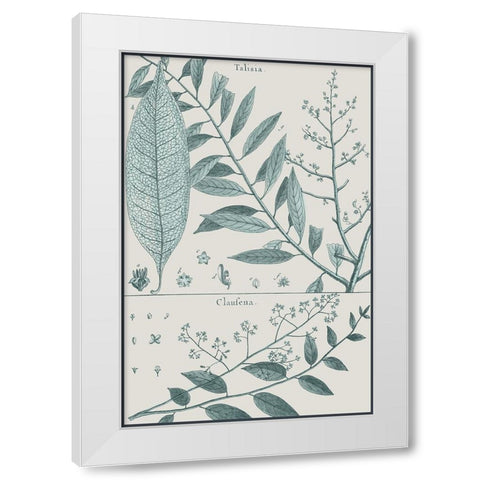 Antique Ferns Revival III White Modern Wood Framed Art Print by Dedirot