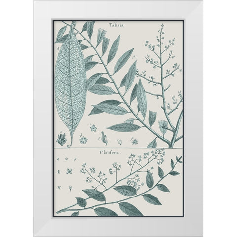Antique Ferns Revival III White Modern Wood Framed Art Print by Dedirot