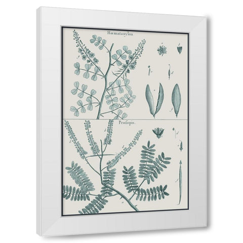 Antique Ferns Revival IV White Modern Wood Framed Art Print by Dedirot