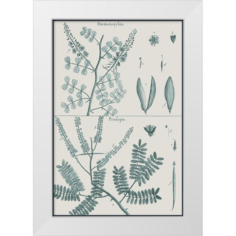 Antique Ferns Revival IV White Modern Wood Framed Art Print by Dedirot