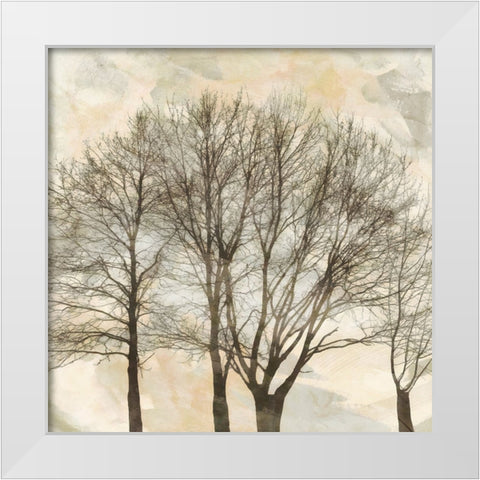 Falls Ending  I White Modern Wood Framed Art Print by Saunders, Alonzo