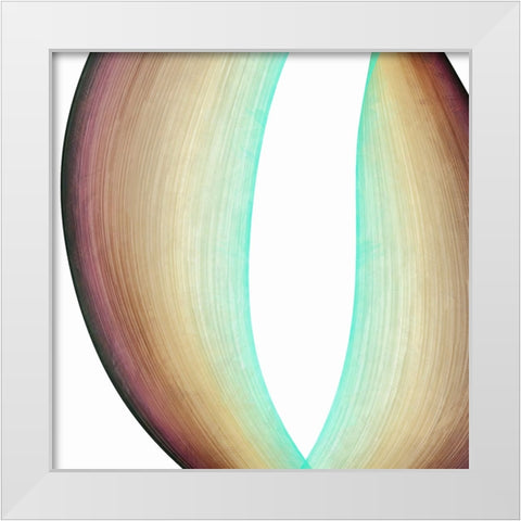 Inner Pathways  I White Modern Wood Framed Art Print by Saunders, Alonzo