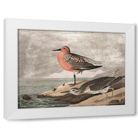 Gilded Sandpipers I White Modern Wood Framed Art Print by Audubon, John James