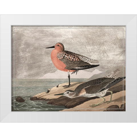Gilded Sandpipers I White Modern Wood Framed Art Print by Audubon, John James