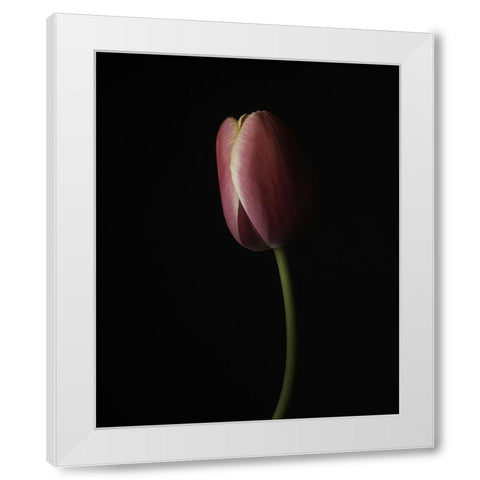 Beautiful Curve I White Modern Wood Framed Art Print by McLean, Leah