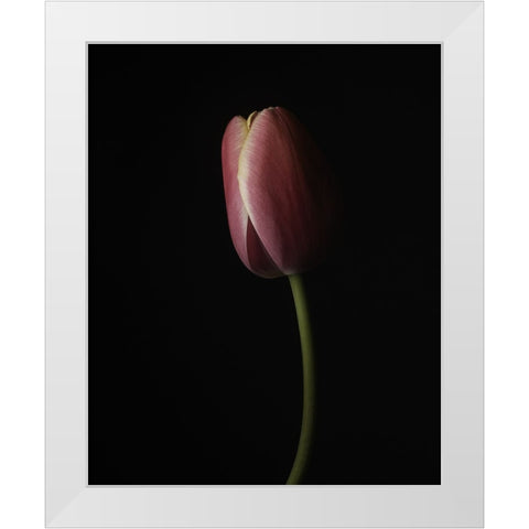 Beautiful Curve I White Modern Wood Framed Art Print by McLean, Leah