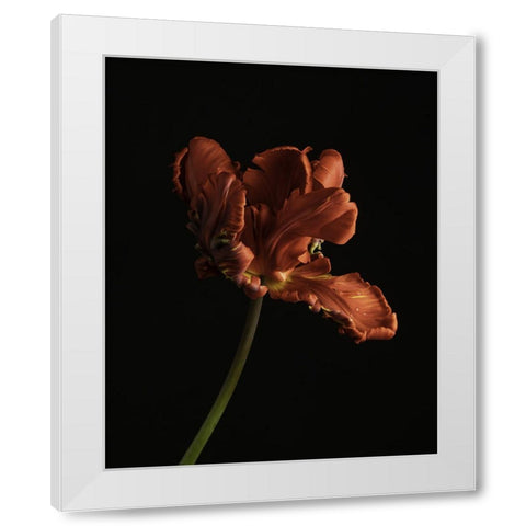 Beautiful Curve II White Modern Wood Framed Art Print by McLean, Leah