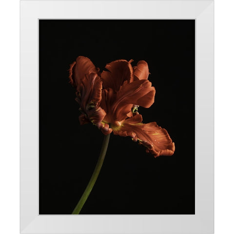 Beautiful Curve II White Modern Wood Framed Art Print by McLean, Leah