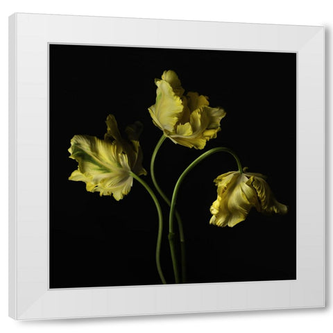 Beautiful Curve III White Modern Wood Framed Art Print by McLean, Leah