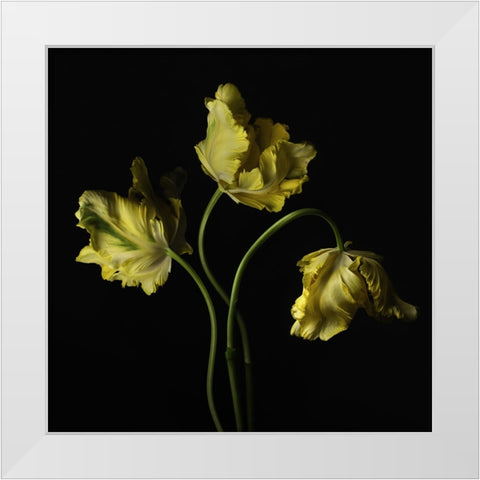 Beautiful Curve III White Modern Wood Framed Art Print by McLean, Leah