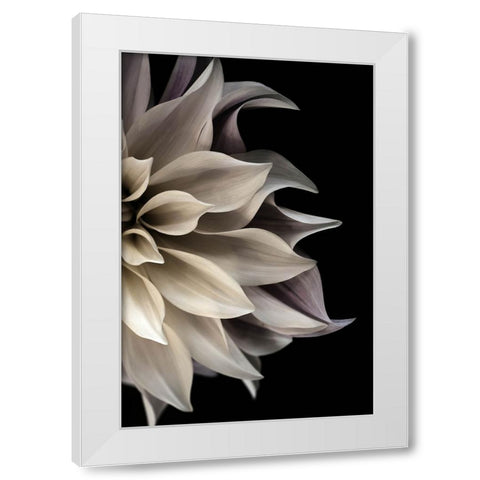 Shattered Petals II White Modern Wood Framed Art Print by Stalus, Judy