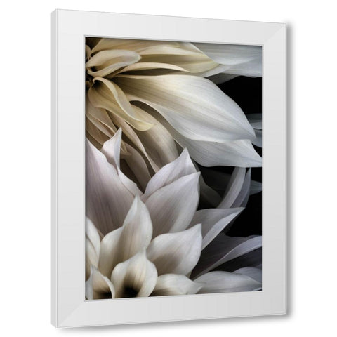 Shattered Petals III White Modern Wood Framed Art Print by Stalus, Judy