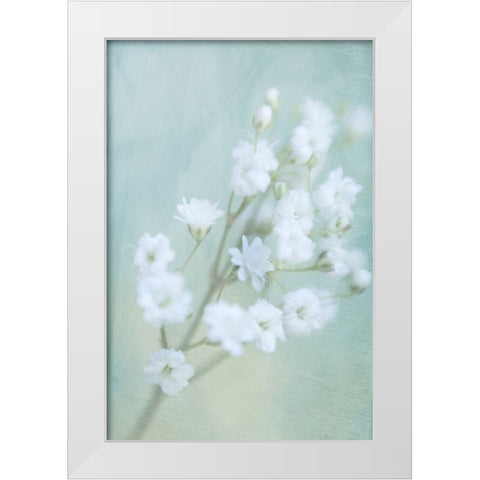 Soft Whisper III White Modern Wood Framed Art Print by Stalus, Judy
