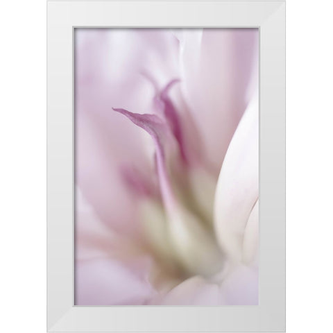 Maiden I White Modern Wood Framed Art Print by Stalus, Judy