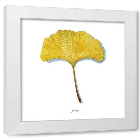 Golden Ginkgo Study I White Modern Wood Framed Art Print by Popp, Grace
