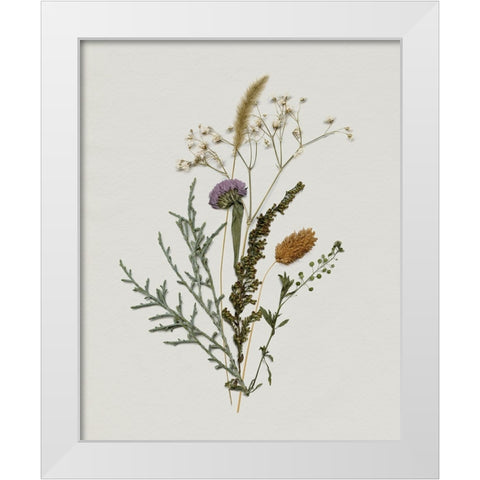 Pressed Autumn Blooms I White Modern Wood Framed Art Print by Barnes, Victoria