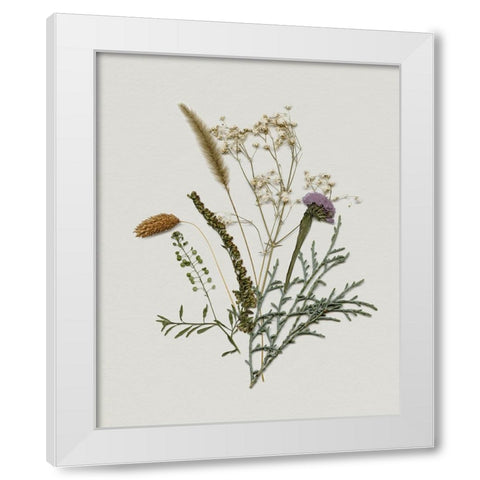 Pressed Autumn Blooms II White Modern Wood Framed Art Print by Barnes, Victoria