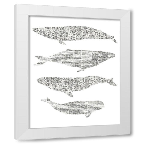 Dashed Whale Chart II White Modern Wood Framed Art Print by Vision Studio