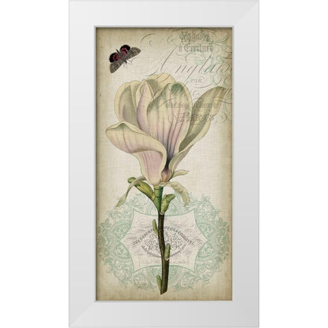 Cartouche and Floral I White Modern Wood Framed Art Print by Goldberger, Jennifer