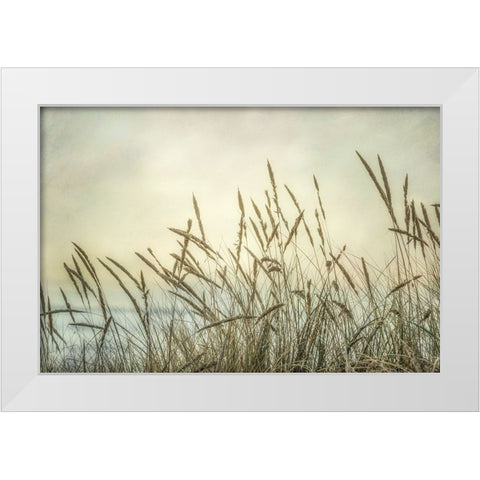 Summer Sea Breeze White Modern Wood Framed Art Print by Poinski, Dianne
