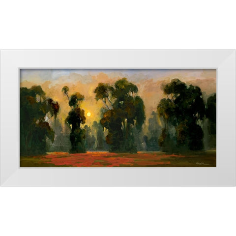 Sun Glint I White Modern Wood Framed Art Print by Stevens, Allayn